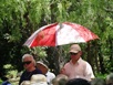 crowd